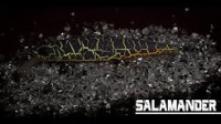 SALAMANDER - воблер со сменной балансировкой